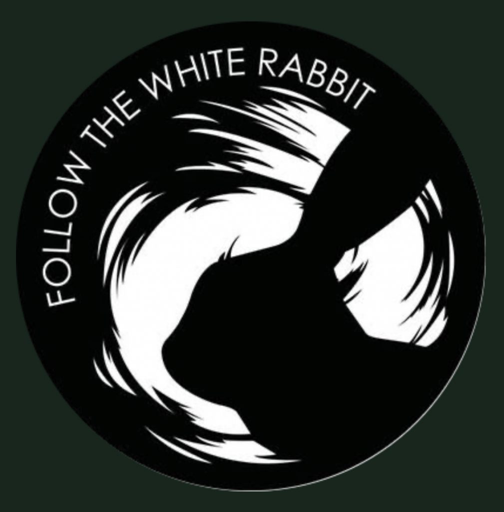 INSECURITY TIMES -11- PRACTICAL THREAT INTELLIGENCE AND DATA-DRIVEN THREAT HUNTING, FOLLOW THE WHITE RABBIT, PORTSWIGGER ACADEMY